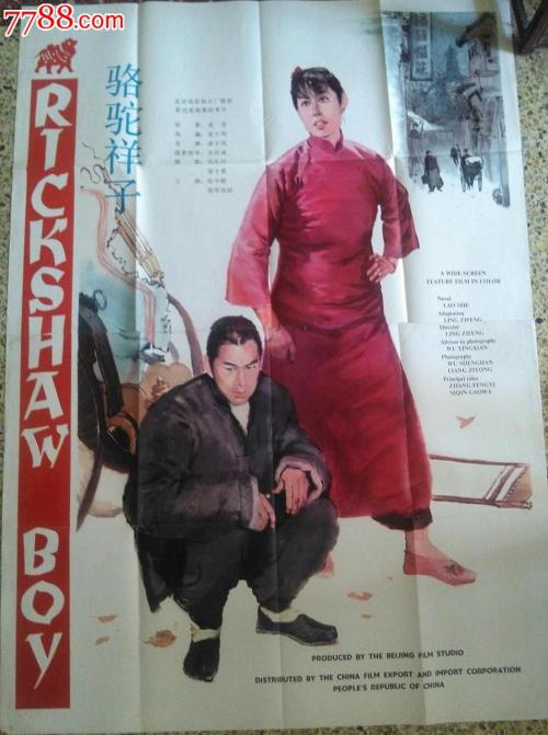 未毕业生有学历证书编号吗